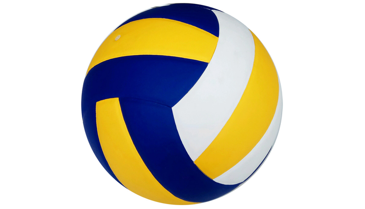 Logo Bola Voli